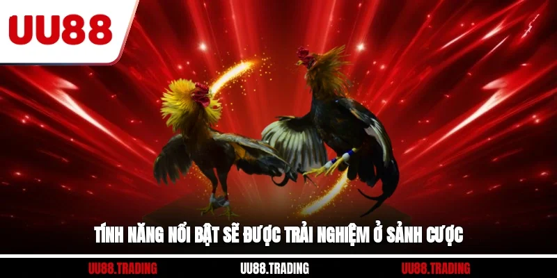 Tính năng nổi bật sẽ được trải nghiệm ở sảnh cược