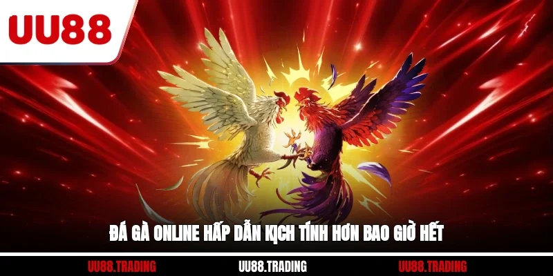 Đá gà online hấp dẫn, kịch tính hơn bao giờ hết