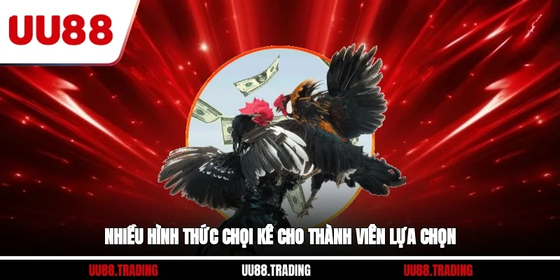 Nhiều hình thức chọi kê cho thành viên lựa chọn