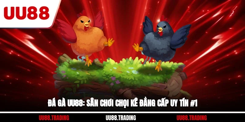 Đá Gà UU88: Sân Chơi Chọi Kê Đẳng Cấp, Uy Tín #1