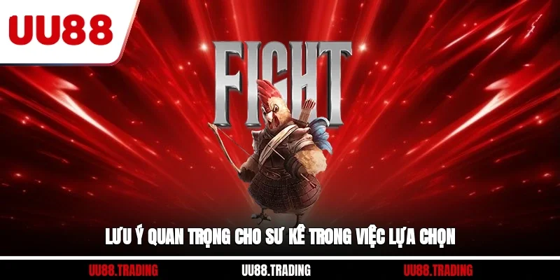 Lưu ý quan trọng cho sư kê trong việc lựa chọn