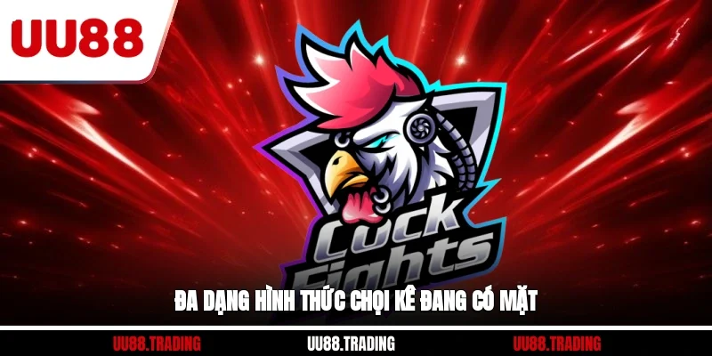 Đa dạng hình thức chọi kê đang có mặt