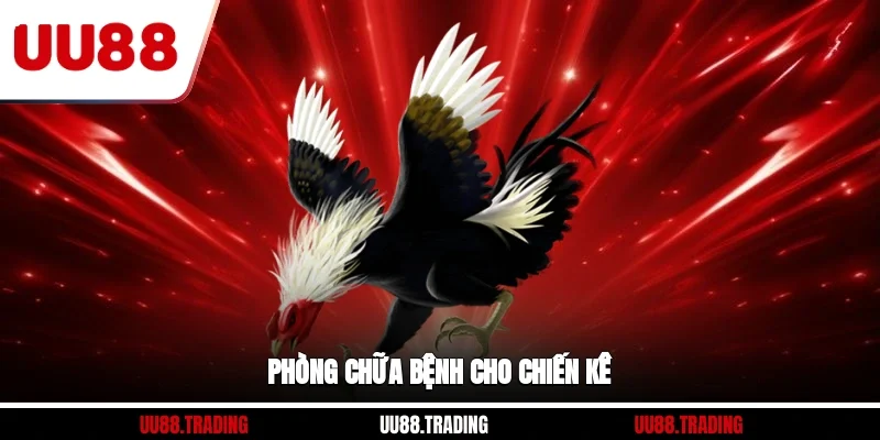 Phòng chữa bệnh cho chiến kê