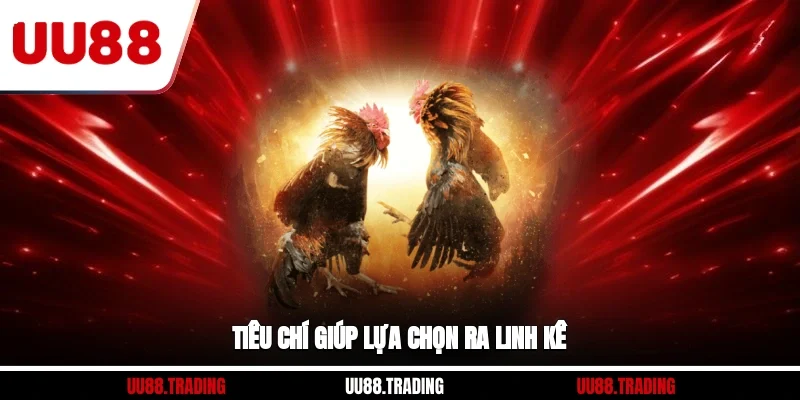 Tiêu chí giúp lựa chọn ra linh kê